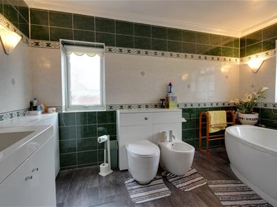 Picture 11